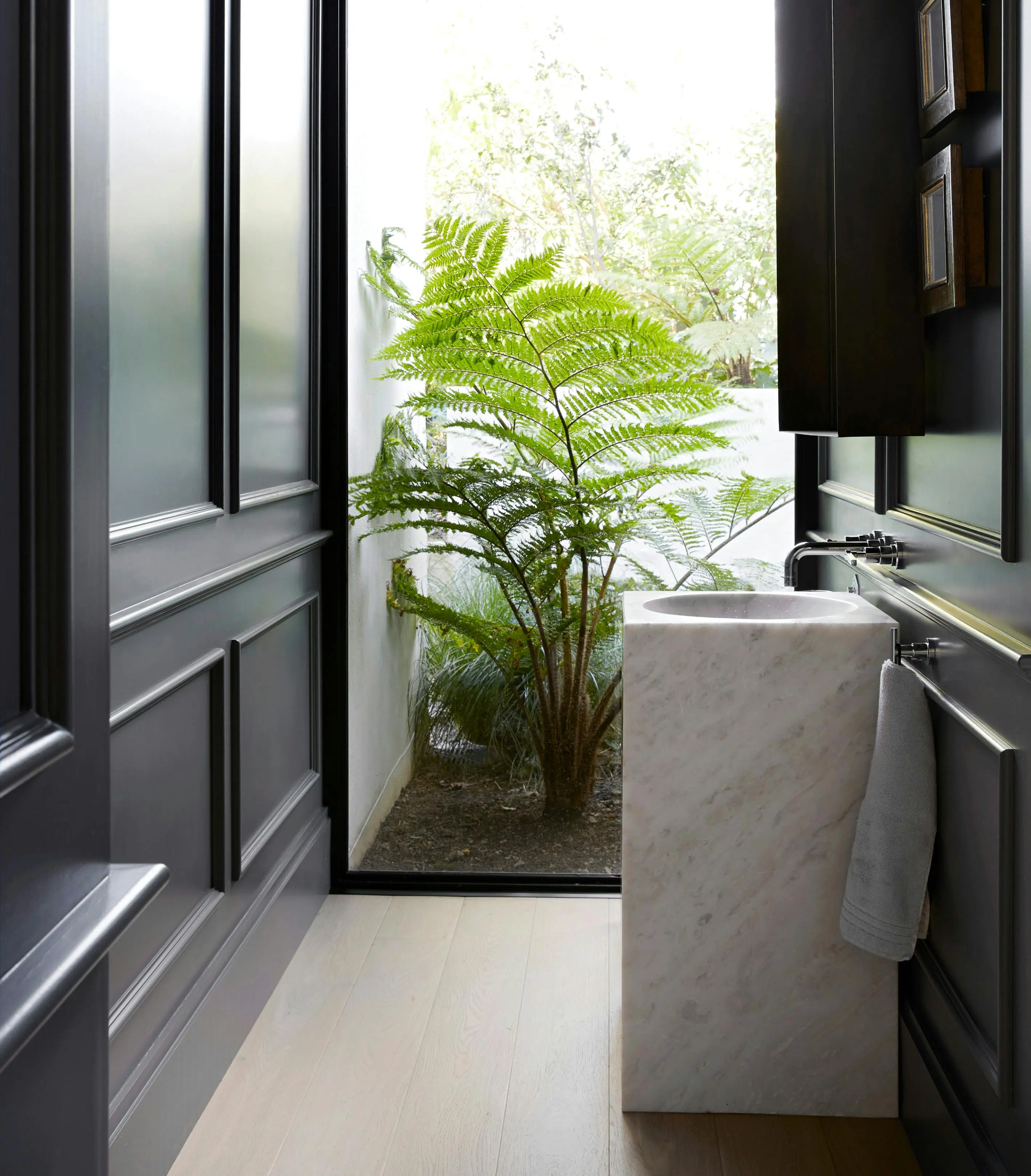 A modern bathroom with black walls, a basin in the foreground and a large window in the background with a view of a large plant outside.