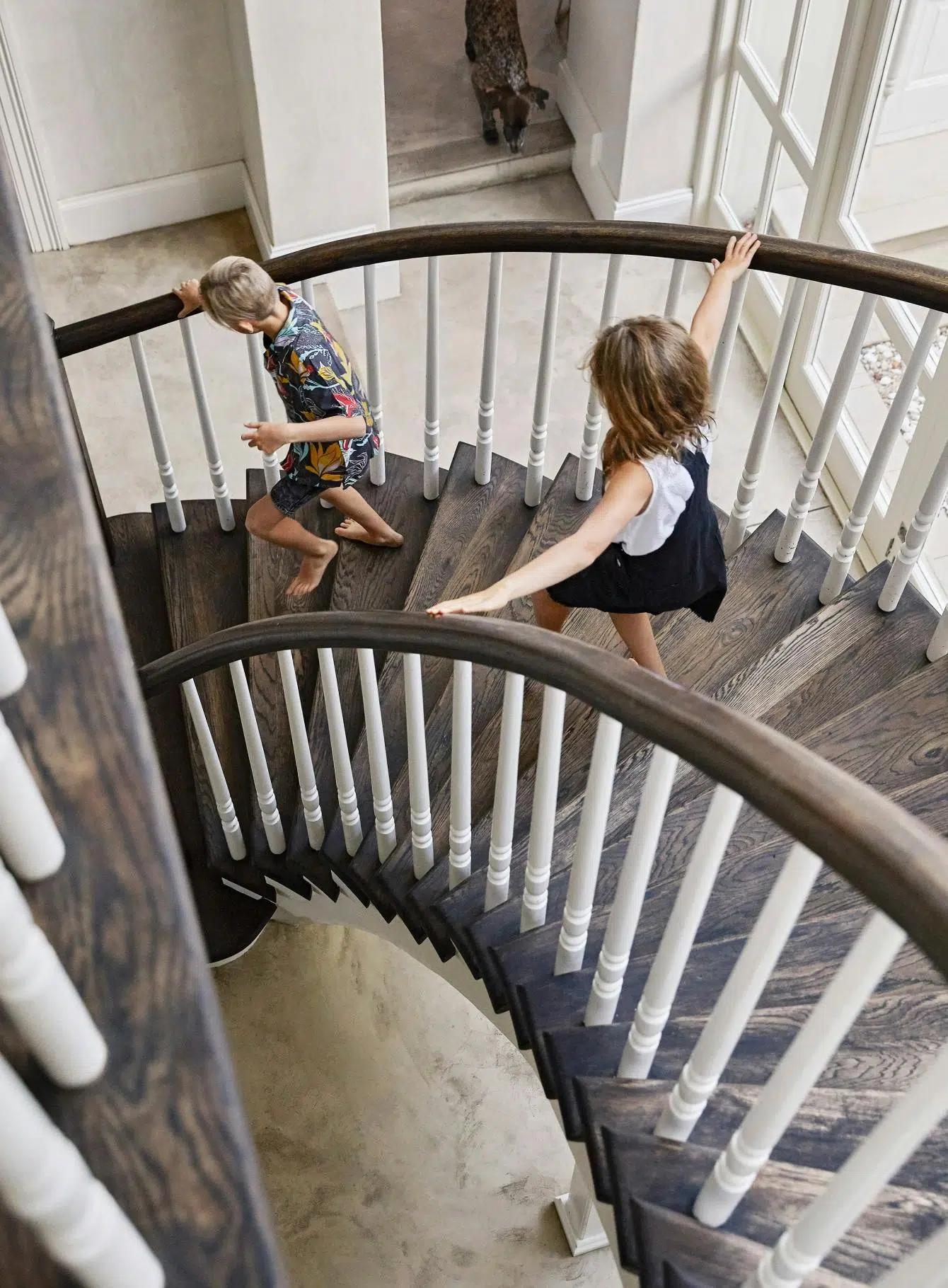 Two children are seen from above as they descend a curved, wooden staircase. On the floor below them, a pointer dog enters the room.