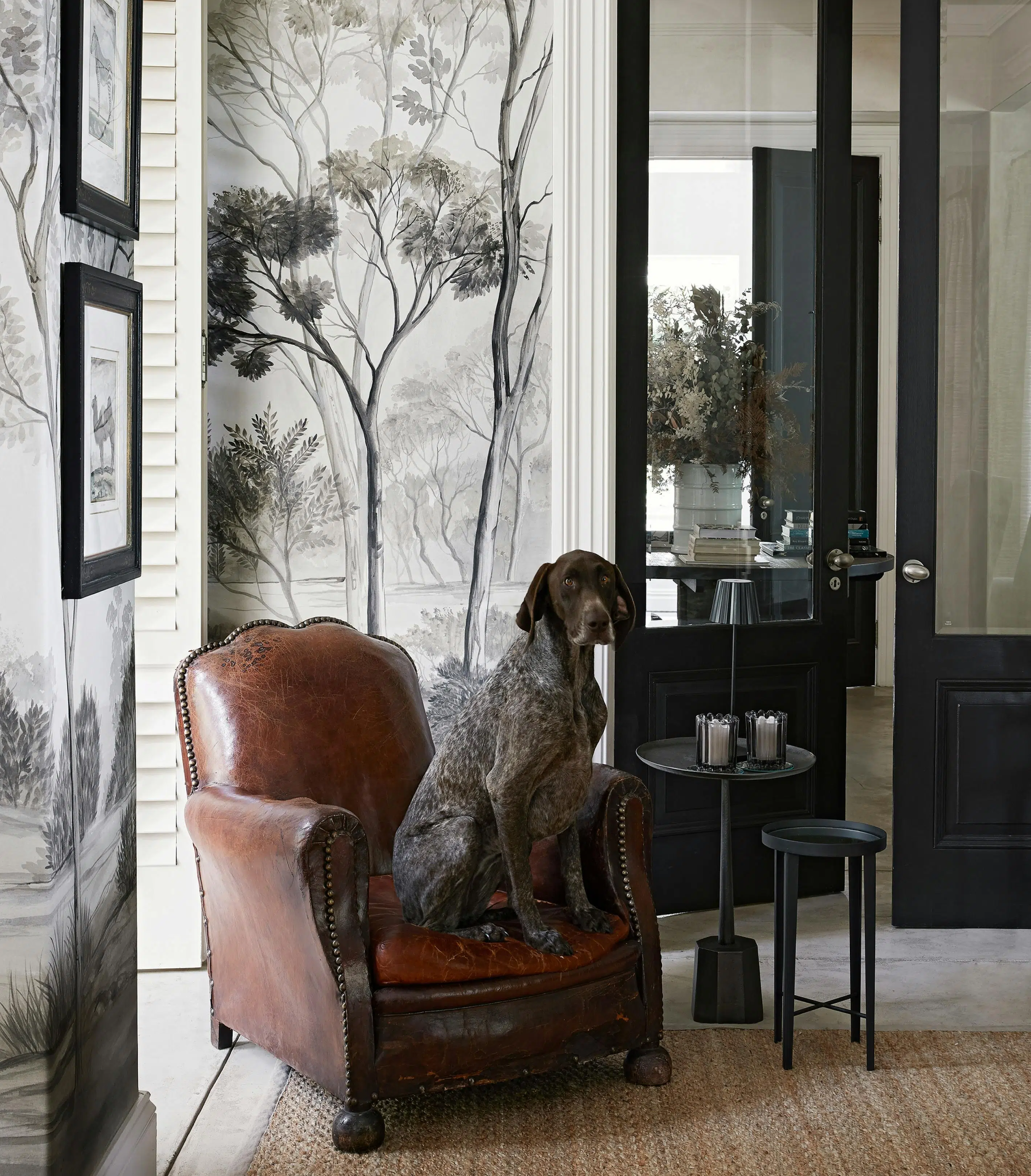 A large, shorthaired pointer dog with a speckled brown coat sits on a  brown leather armchair in front of wallpaper with grayscale illustrations of trees.