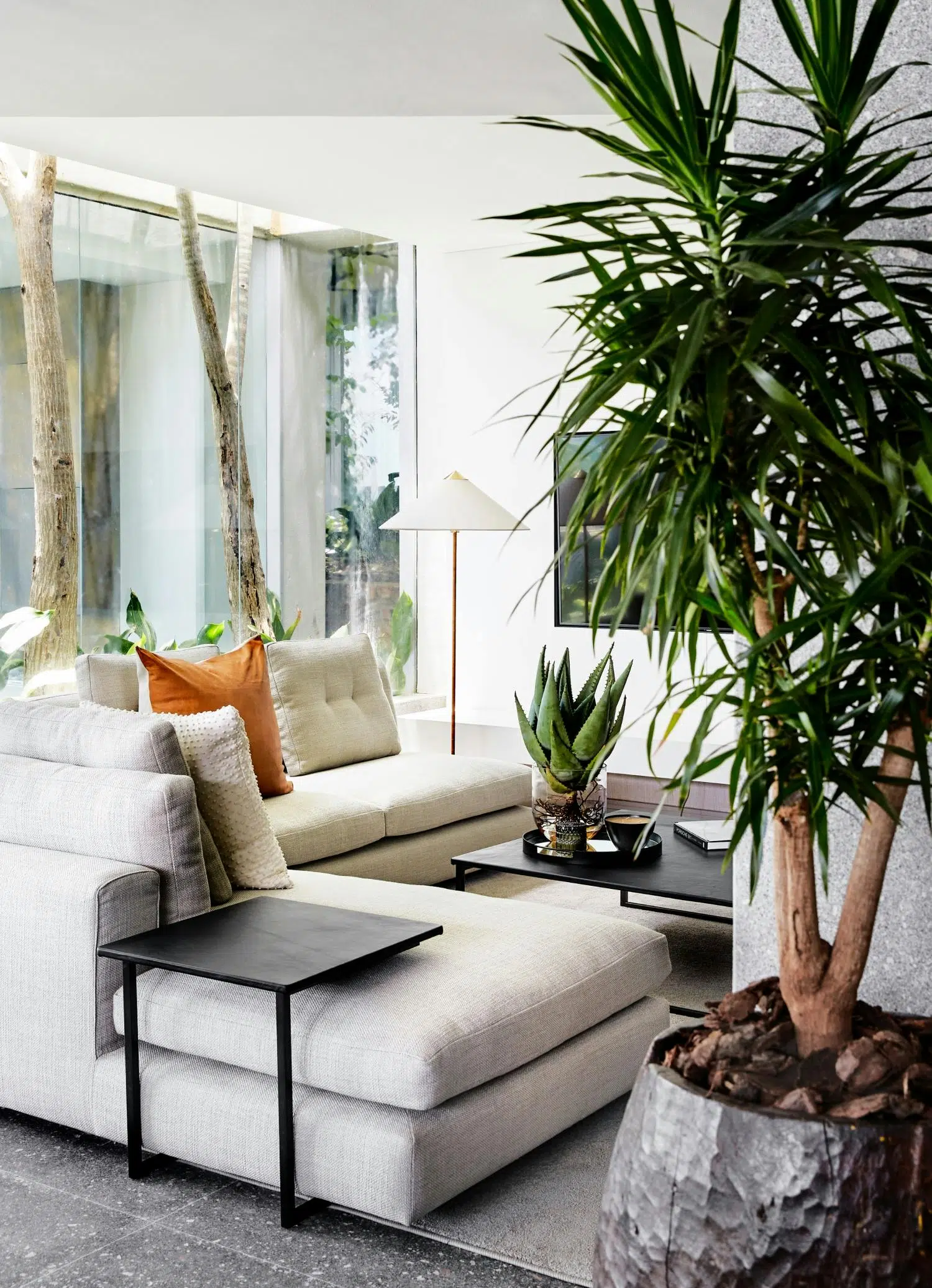 A contemporary living room with a large plant in the foreground, a modular sofa in the middle, with large windows with a view of the greenery outside in the background.