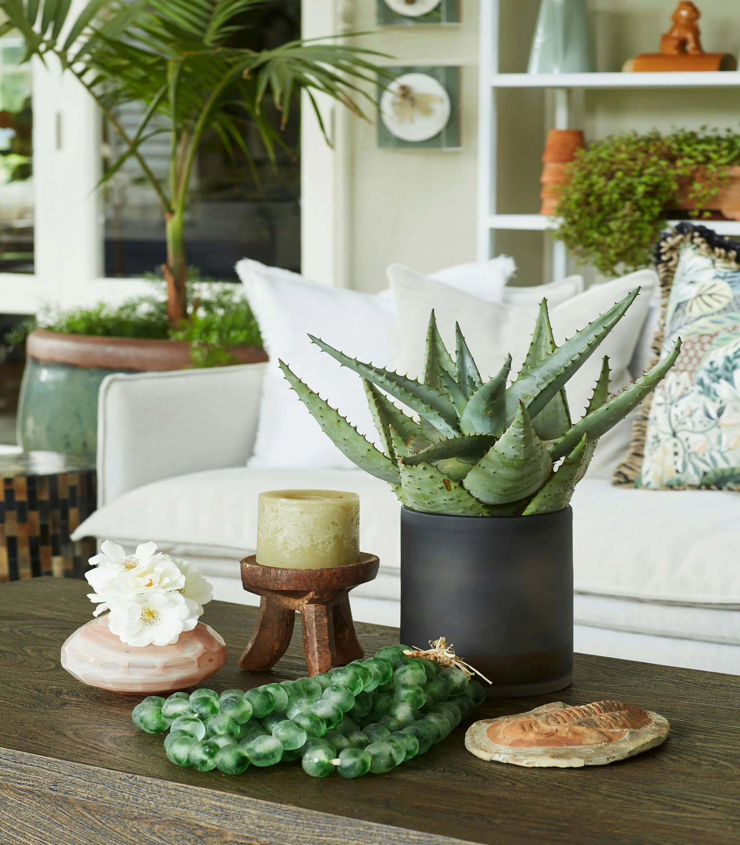 Close-up of a coffee table with decorative accents on top.