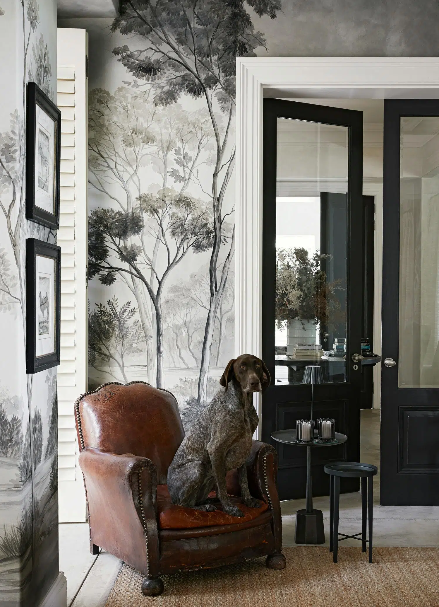 A large, shorthaired pointer dog with a speckled brown coat sits on a  brown leather armchair in front of wallpaper with grayscale illustrations of trees.